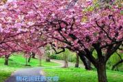 桃花运旺的女命 - 桃花运旺的女命八字特征
