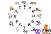 教你生辰八字五行查询