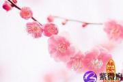 怎么看八字有无桃花运