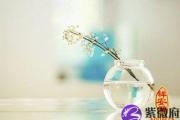 属相创业解密
