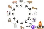 生肖看出生于什么月份最好命