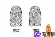 指纹斗算命