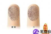 手指纹算命方法