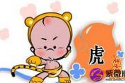 2014生肖虎桃花运
