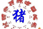 2014生肖猪桃花运