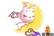 2014生肖兔桃花运
