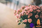 如何招桃花运