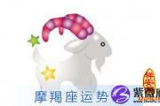 摩羯座桃花运