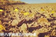 解析&*&*&纳音五行砂中金 - 砂中金简介