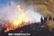 解析&*&*&纳音五行山下火 - 山下火的简介