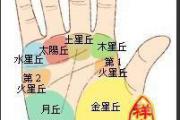 手掌指纹算命怎么看