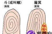 怎样通过手指纹算命