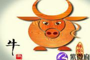 属牛和什么属相相配