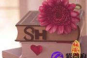 属鸡和什么属相相配