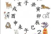 生肖相冲的组合有哪些