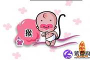 属猴人2014年桃花运是怎样的