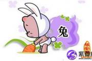 属兔人2014年桃花运是怎样的