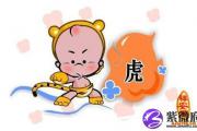 属虎人2014年桃花运是怎样的