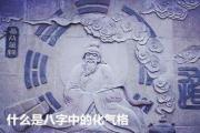 什么是&*&*&中的化气格 - 何为&*&*&化气格