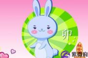 生肖兔怎么样提高异性缘