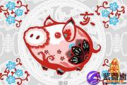 生肖猪怎么样提高异性缘