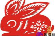属兔人的异性缘是怎样的