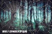 解析&*&*&神煞天罗地网 - 何为四柱&*&*&天罗地网