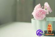 桃花运开运法大全
