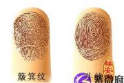 解析指纹“斗”与“簸箕”的玄妙