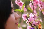 命犯桃花劫如何破解