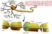 &*&*&算命和科学有哪些关联性 - &*&*&和科学关系