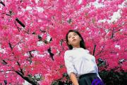 2016年招桃花的风水方位