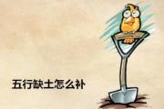五行缺土怎么补 - 五行属土的吉祥物