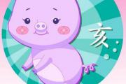 属猪人一生财运