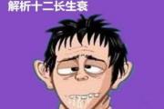 解析十二长生衰 - 解析十二长生衰