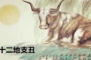 解析十二地支丑 - 丑之类象