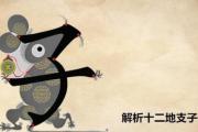 解析十二地支子