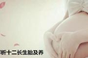 解析十二长生胎及养 - 何为十二长生之胎
