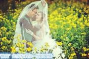 桃花如何左右你一世的爱情 - 9种真正桃花介绍