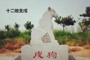 解析十二地支戍 - 戌土在&*&*&中的作用