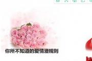 你所不知道的爱情潜规则 - 有哪些爱情全规则我们不知道