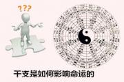 干支是如何影响命运的 - 怎样分别&*&*&干支的动静状态