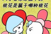 &*&*&算命桃花运好不好 - &*&*&桃花的类型