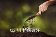 天干戊己土的特殊偏好 - 天干戊土的特殊偏好