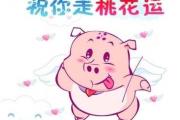 &*&*&算命桃花运好不好 - &*&*&看什么时候走桃花运
