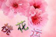 桃花运对爱情有什么作用 - &*&*&桃花运与爱情