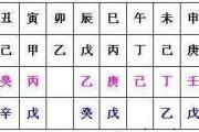 地支五行藏干气数 - &*&*&从儿格的好坏特点