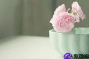 2016年怎么样才能旺桃花