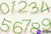 生辰八字算命幸运数字