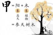 十天干基本象意(5) - &*&*&基础知识